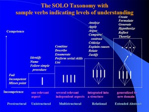 solo_taxonomy